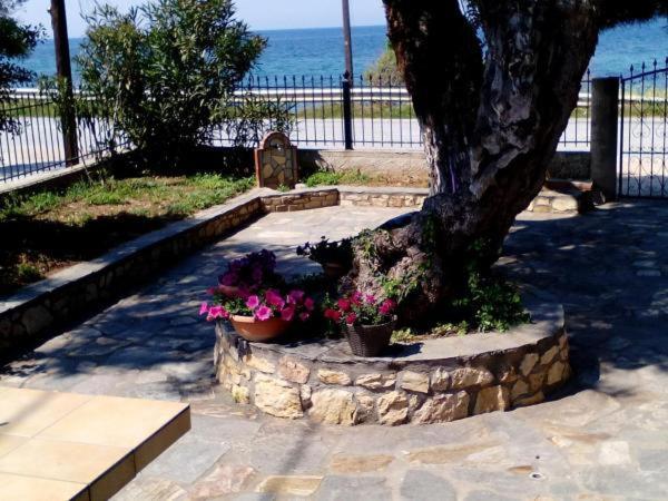 Aegialis Villa Skála Kallirákhis Kültér fotó